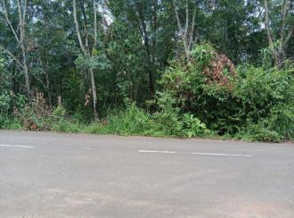 Residential Land for Sale in Palakkad, Alathur, Alathur, Cheekode