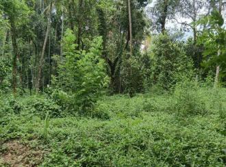 Residential Land for Sale in Palakkad, Alathur, Alathur, Cheekode