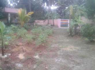 Residential Land for Sale in Trivandrum, Thiruvananthapuram, Peyad, Peyad Main road Alakunnam Bus Stop