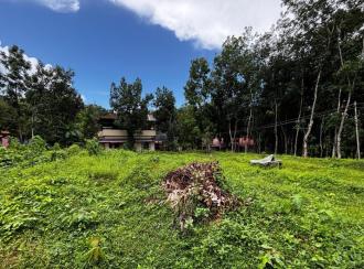 Residential Land for Sale in Pathanamthitta, Pathanamthitta, Vallicodu, Kochalummoodu Friends College