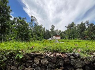 Residential Land for Sale in Pathanamthitta, Pathanamthitta, Vallicodu, Kochalummoodu Friends College