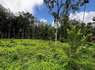 Residential Land for Sale in Pathanamthitta, Pathanamthitta, Vallicodu, Kochalummoodu Friends College