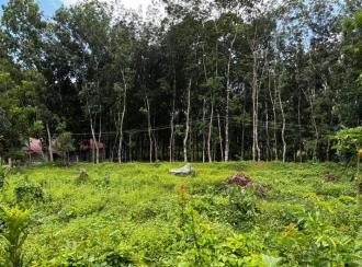 Residential Land for Sale in Pathanamthitta, Pathanamthitta, Vallicodu, Kochalummoodu Friends College
