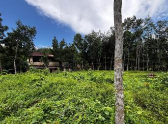 Residential Land for Sale in Pathanamthitta, Pathanamthitta, Vallicodu, Kochalummoodu Friends College