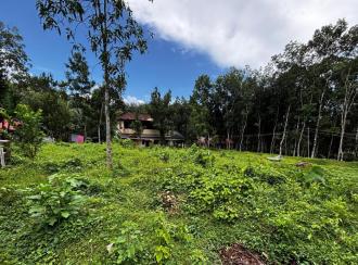 Residential Land for Sale in Pathanamthitta, Pathanamthitta, Vallicodu, Kochalummoodu Friends College