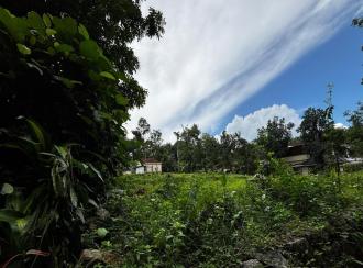 Residential Land for Sale in Pathanamthitta, Pathanamthitta, Vallicodu, Kochalummoodu Friends College