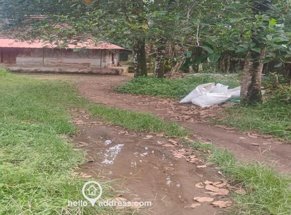 Commercial Land for Sale