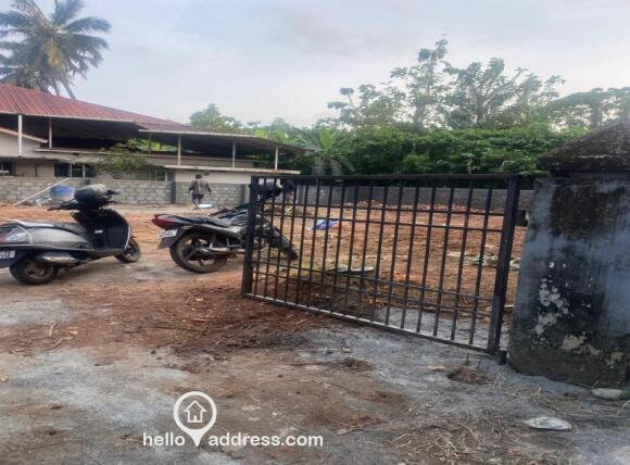 Another view from the gate