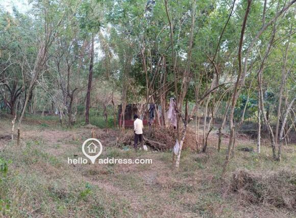 Residential Land for Sale