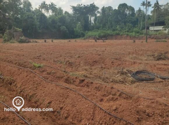 Residential Land for Sale