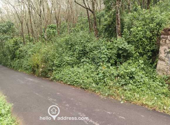 Agricultural Land for Sale