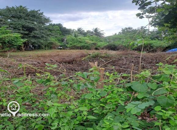 Residential Land for Sale