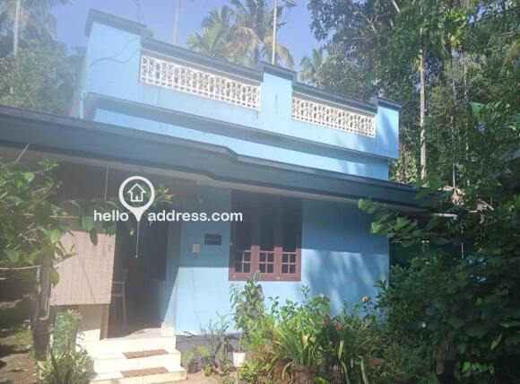 Residential House Villa for Sale