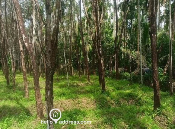 Residential Land for Sale