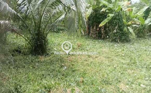 Residential Land for Sale