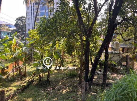 Commercial Land for Sale