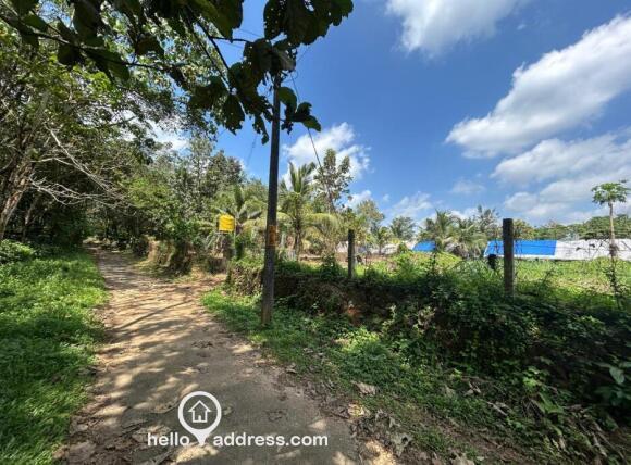 90 Cent Industrial Plot