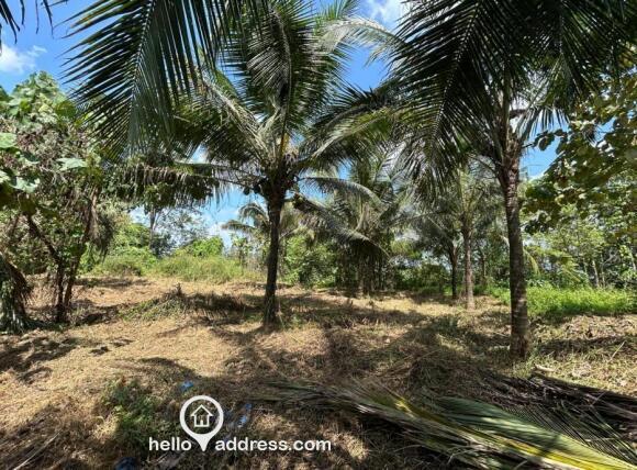 90 Cent Industrial Plot