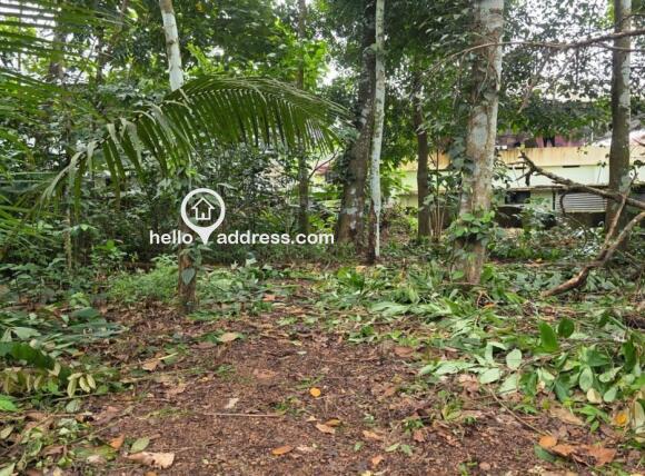 Residential Land for Sale