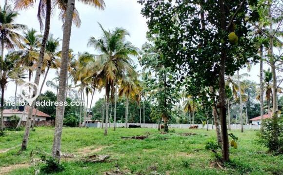 Residential Land for Sale