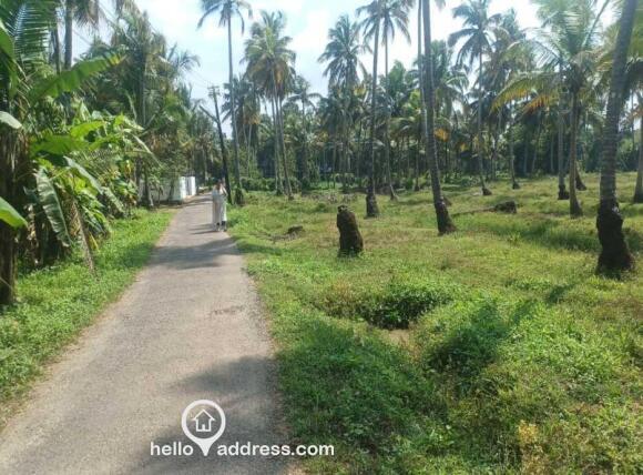 Agricultural Land for Sale