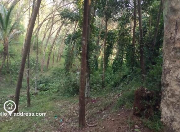 Residential Land for Sale