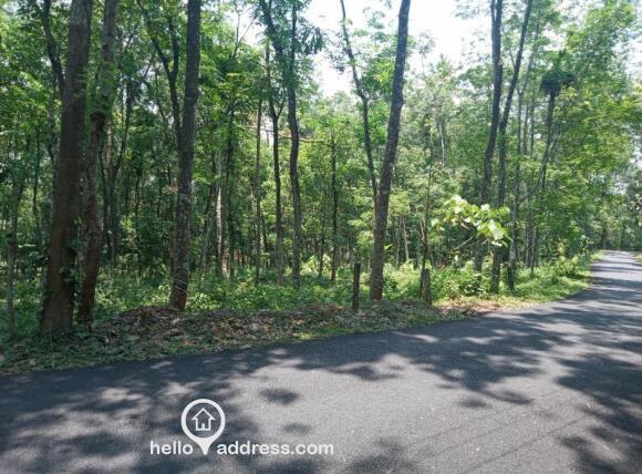 PLOT FOR SALE-VAZHAKULAM