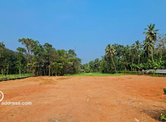 Commercial Land for Sale