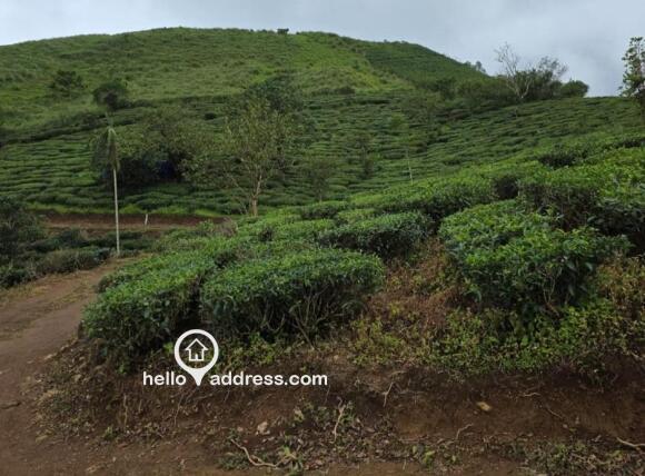 Commercial Land for Sale