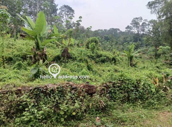 Agricultural Land for Sale