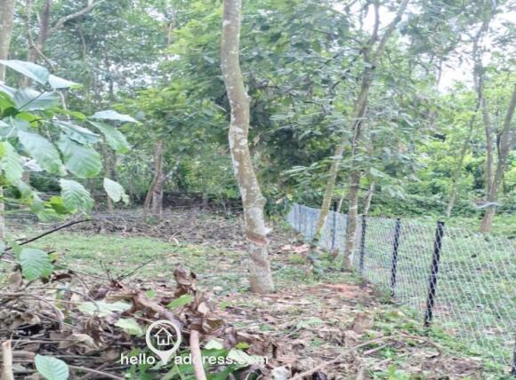 Residential property