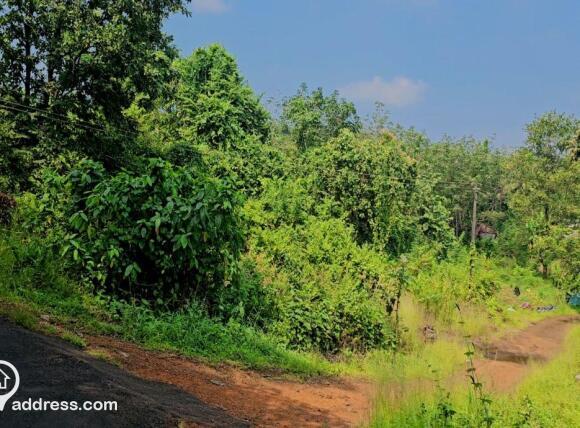 Residential Land for Sale