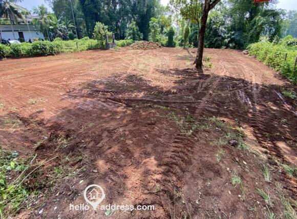 വാസയോഗ്യമായ ഭൂമി വില്പനയ്ക്ക് 