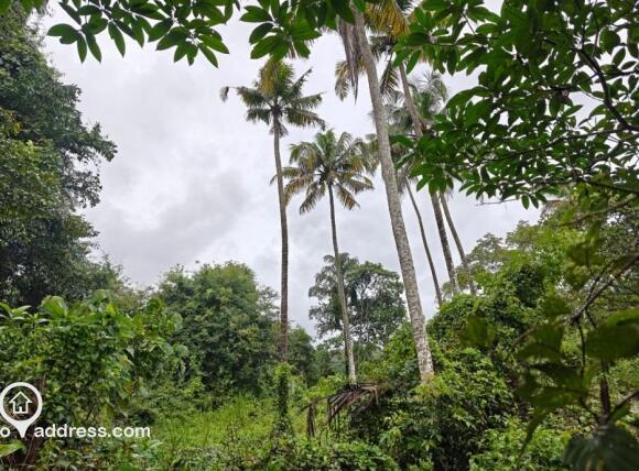 Residential Land for Sale