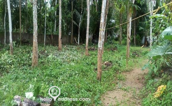 Residential Land for Sale