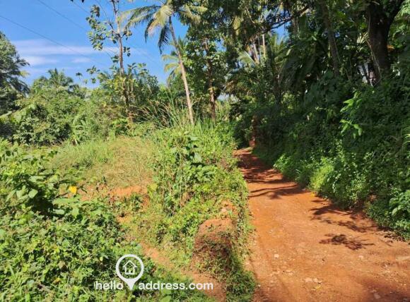 Residential Land for Sale