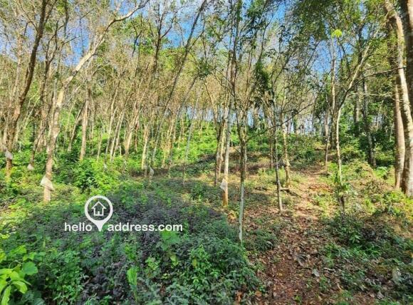 Agricultural Land for Sale