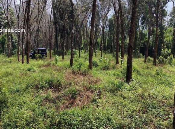 Residential Land for Sale