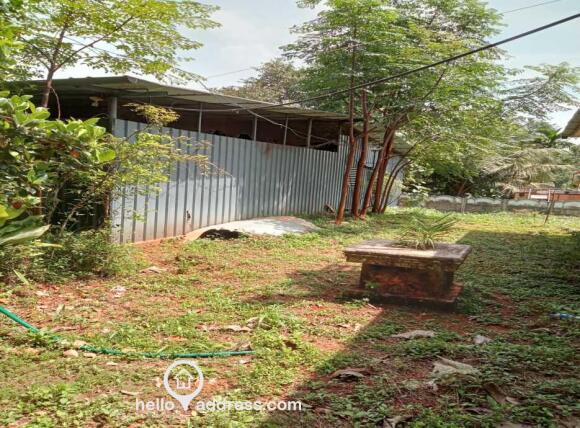 View of the Fish Farm, right behind the house