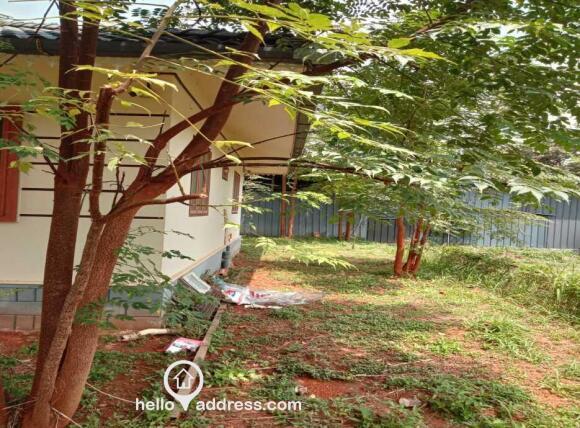 Side view and area for a small farm to grow vegetables