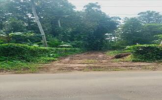 Residential Land, Pathanamthitta