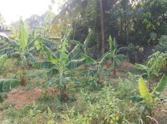 Residential Land for Sale in Thrissur, Thrissur, Kolazhy, St. Benedict Church