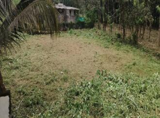 Residential Land for Sale in Palakkad, Palakkad, Puthuppariyaram, Sreemuruga Temple