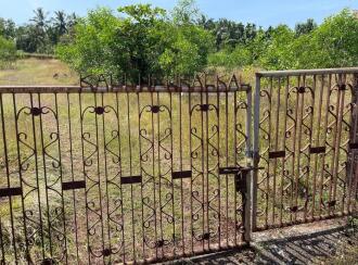 Residential Land for Sale in Kasargod, Kanhangad, Periya, Periya Govt high school