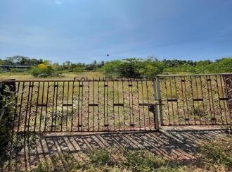 Residential Land for Sale in Kasargod, Kanhangad, Periya, Periya Govt high school