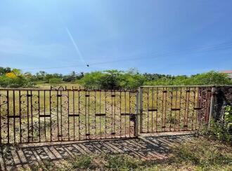 Residential Land for Sale in Kasargod, Kanhangad, Periya, Periya Govt high school