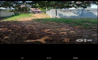 Commercial Land for Sale in Kottayam, Changanassery, Changanassery, CHANGANASSERY
