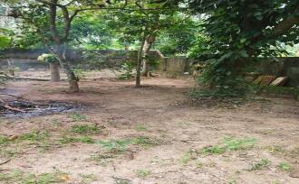 Residential Land for SaleTrivandrum, Thiruvananthapuram, Mangalapuram