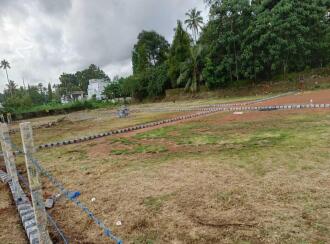 Residential Land for Sale in Ernakulam, Kalady, Marottichuvadu, Vengoor