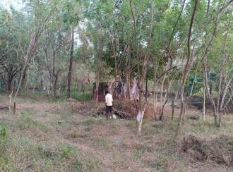 Residential Land for SaleKasargod, Badiaduka, Badiadka